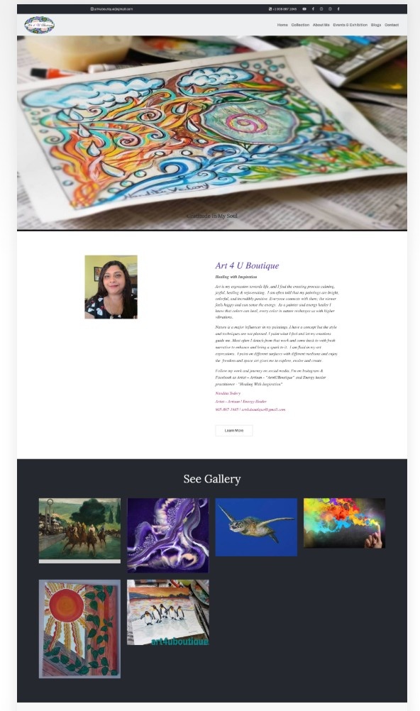 website development portfolio